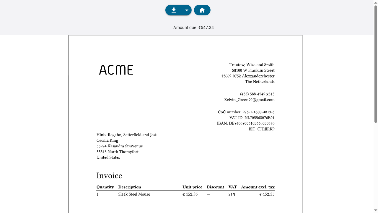Typst invoice preview